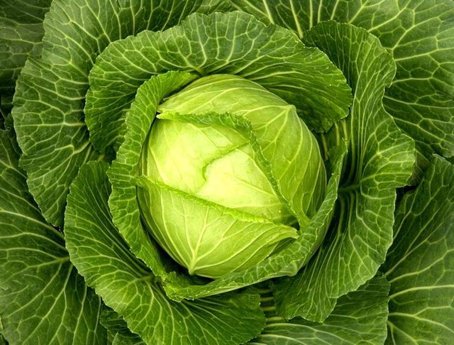Produk terbaik untuk penurunan berat badan dan kecantikan