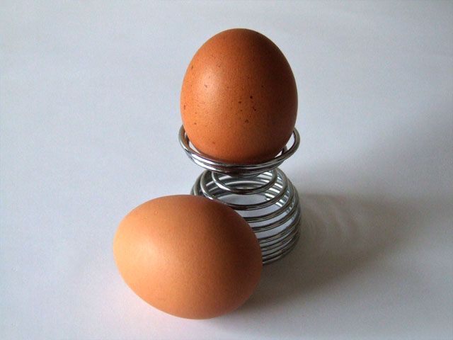 Kelemahan pemakanan telur