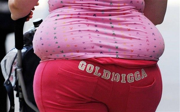 Para saintis telah mendapati bahawa obesiti adalah proses yang tidak dapat dipulihkan