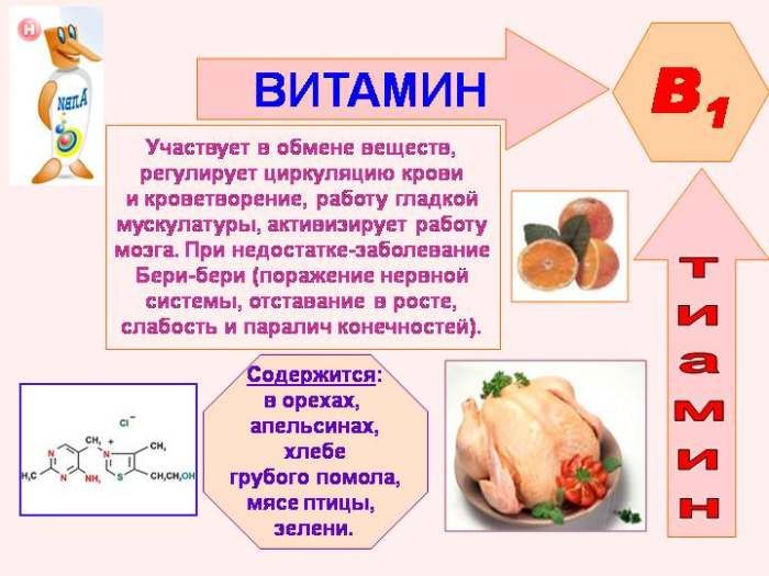 Ciri-ciri vitamin B1